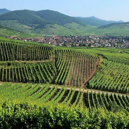 Once Upon A Time, Luxury Appart, 8 Guests, 3br Apartmán Colmar